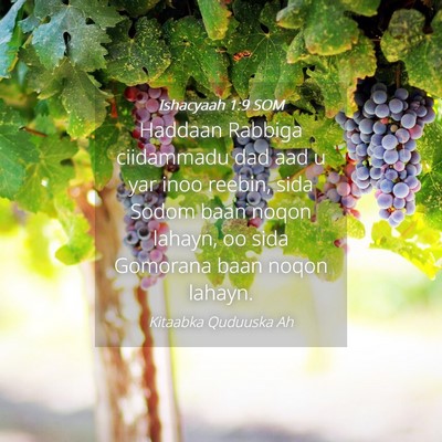 Picture 04 - Ishacyaah 1:9 SOM - Haddaan Rabbiga ciidammadu dad aad u yar inoo - Bible Verse Picture
