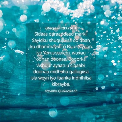 Picture 04 - Ishacyaah 10:12 SOM - Sidaas daraaddeed markii Sayidku shuqulkiisa oo - Bible Verse Picture