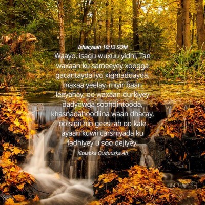 Picture 04 - Ishacyaah 10:13 SOM - Waayo, isagu wuxuu yidhi, Tan waxaan ku sameeyey - Bible Verse Picture
