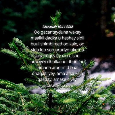 Picture 04 - Ishacyaah 10:14 SOM - Oo gacantayduna waxay maalkii dadka u heshay - Bible Verse Picture