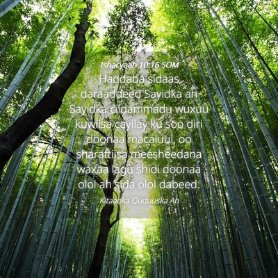 Picture 04 - Ishacyaah 10:16 SOM - Haddaba sidaas daraaddeed Sayidka ah Sayidka - Bible Verse Picture