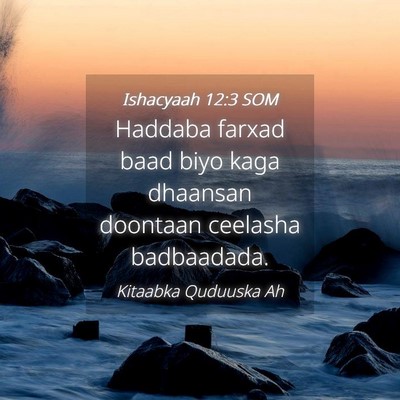 Picture 04 - Ishacyaah 12:3 SOM - Haddaba farxad baad biyo kaga dhaansan doontaan - Bible Verse Picture