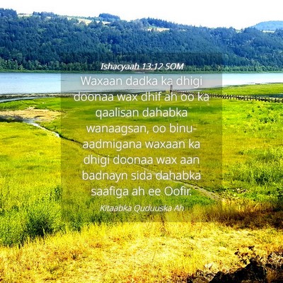 Picture 04 - Ishacyaah 13:12 SOM - Waxaan dadka ka dhigi doonaa wax dhif ah oo ka - Bible Verse Picture