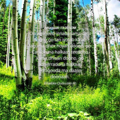 Picture 04 - Ishacyaah 13:20 SOM - Oo weligeed innaba lama degi doono oo tan iyo ab - Bible Verse Picture