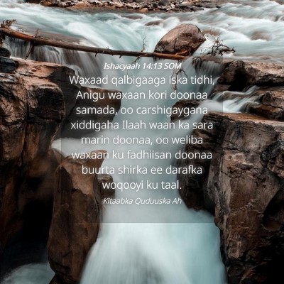 Picture 04 - Ishacyaah 14:13 SOM - Waxaad qalbigaaga iska tidhi, Anigu waxaan kori - Bible Verse Picture