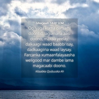 Picture 04 - Ishacyaah 14:20 SOM - Oo iyaga kuma darsami doontid, lagumana aasi - Bible Verse Picture