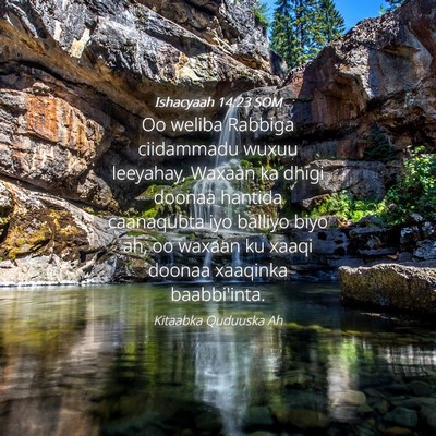 Picture 04 - Ishacyaah 14:23 SOM - Oo weliba Rabbiga ciidammadu wuxuu leeyahay, - Bible Verse Picture