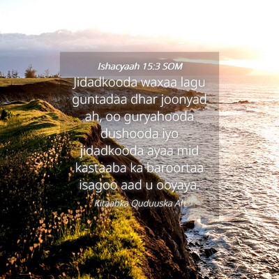Picture 04 - Ishacyaah 15:3 SOM - Jidadkooda waxaa lagu guntadaa dhar joonyad ah, - Bible Verse Picture