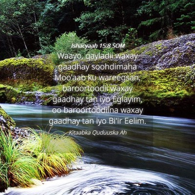 Picture 04 - Ishacyaah 15:8 SOM - Waayo, qayladii waxay gaadhay soohdimaha Moo'aab - Bible Verse Picture