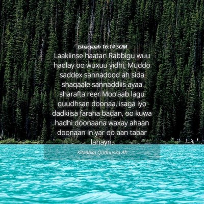 Picture 04 - Ishacyaah 16:14 SOM - Laakiinse haatan Rabbigu wuu hadlay oo wuxuu - Bible Verse Picture