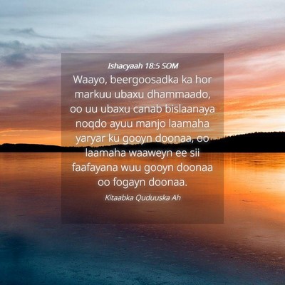Picture 04 - Ishacyaah 18:5 SOM - Waayo, beergoosadka ka hor markuu ubaxu - Bible Verse Picture