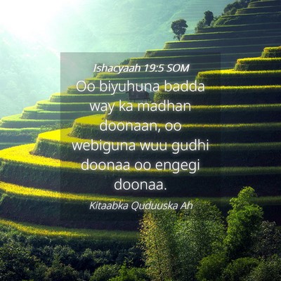 Picture 04 - Ishacyaah 19:5 SOM - Oo biyuhuna badda way ka madhan doonaan, oo - Bible Verse Picture