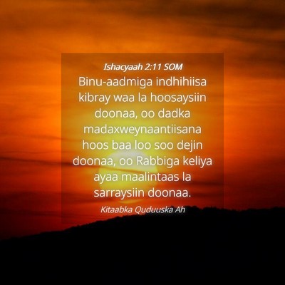 Picture 04 - Ishacyaah 2:11 SOM - Binu-aadmiga indhihiisa kibray waa la hoosaysiin - Bible Verse Picture