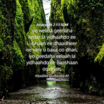 Picture 04 - Ishacyaah 2:13 SOM - iyo weliba geedaha kedar la yidhaahdo ee Lubnaan - Bible Verse Picture