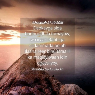 Picture 04 - Ishacyaah 21:10 SOM - Dadkayga sida hadhuudh la tumayow, wixii aan - Bible Verse Picture