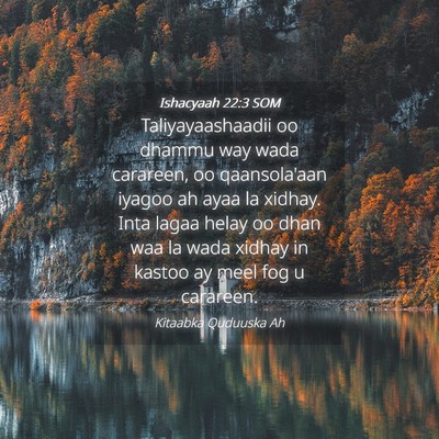 Picture 04 - Ishacyaah 22:3 SOM - Taliyayaashaadii oo dhammu way wada carareen, oo - Bible Verse Picture