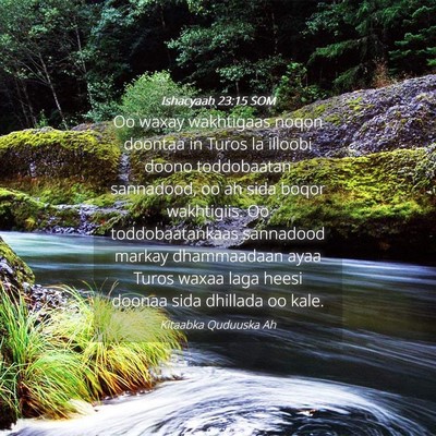 Picture 04 - Ishacyaah 23:15 SOM - Oo waxay wakhtigaas noqon doontaa in Turos la - Bible Verse Picture