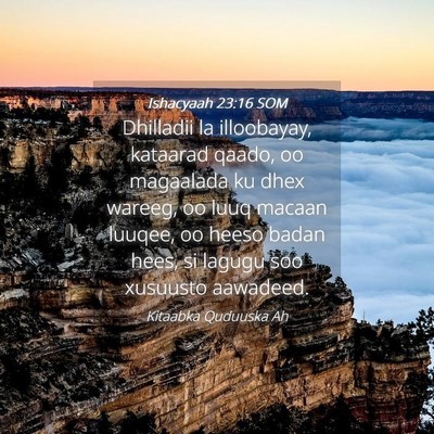 Picture 04 - Ishacyaah 23:16 SOM - Dhilladii la illoobayay, kataarad qaado, oo - Bible Verse Picture