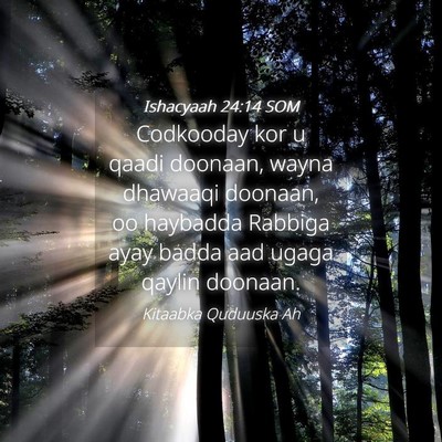 Picture 04 - Ishacyaah 24:14 SOM - Codkooday kor u qaadi doonaan, wayna dhawaaqi - Bible Verse Picture