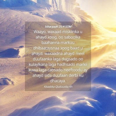 Picture 04 - Ishacyaah 25:4 SOM - Waayo, waxaad miskiinka u ahayd xoog, oo saboolka - Bible Verse Picture