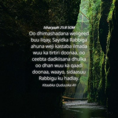 Picture 04 - Ishacyaah 25:8 SOM - Oo dhimashadana weligeed buu liqay, Sayidka - Bible Verse Picture