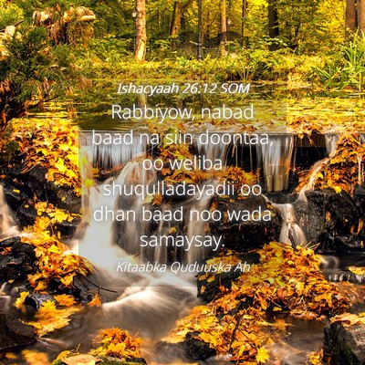 Picture 04 - Ishacyaah 26:12 SOM - Rabbiyow, nabad baad na siin doontaa, oo weliba - Bible Verse Picture