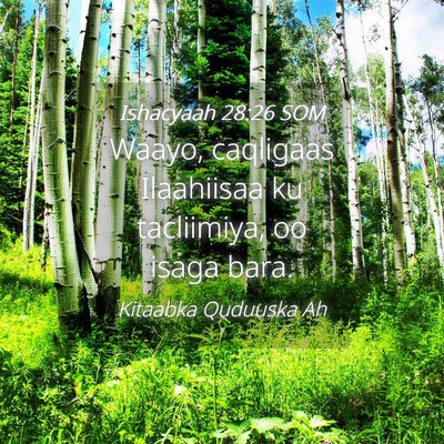 Picture 04 - Ishacyaah 28:26 SOM - Waayo, caqligaas Ilaahiisaa ku tacliimiya, oo - Bible Verse Picture