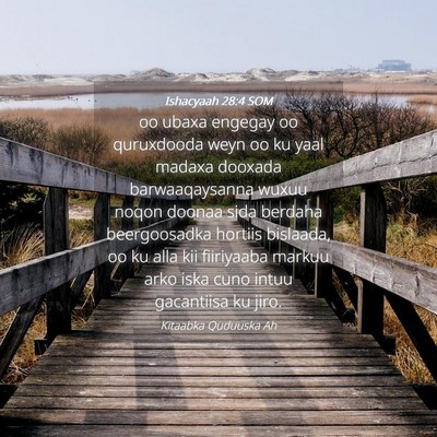 Picture 04 - Ishacyaah 28:4 SOM - oo ubaxa engegay oo quruxdooda weyn oo ku yaal - Bible Verse Picture