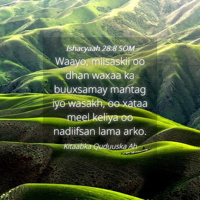 Picture 04 - Ishacyaah 28:8 SOM - Waayo, miisaskii oo dhan waxaa ka buuxsamay - Bible Verse Picture