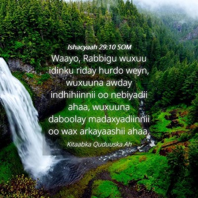 Picture 04 - Ishacyaah 29:10 SOM - Waayo, Rabbigu wuxuu idinku riday hurdo weyn, - Bible Verse Picture