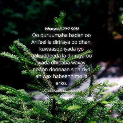 Picture 04 - Ishacyaah 29:7 SOM - Oo quruumaha badan oo Arii'eel la diriraya oo - Bible Verse Picture