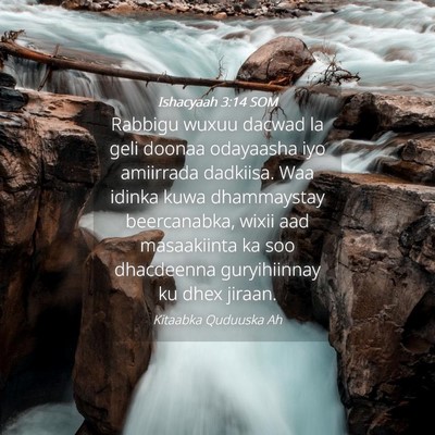 Picture 04 - Ishacyaah 3:14 SOM - Rabbigu wuxuu dacwad la geli doonaa odayaasha iyo - Bible Verse Picture