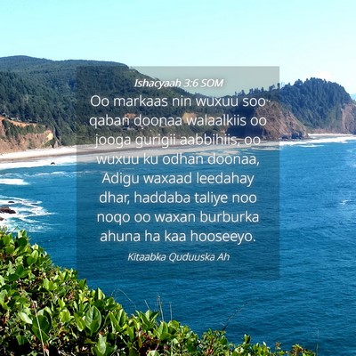 Picture 04 - Ishacyaah 3:6 SOM - Oo markaas nin wuxuu soo qaban doonaa walaalkiis - Bible Verse Picture
