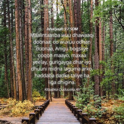 Picture 04 - Ishacyaah 3:7 SOM - Maalintaasba wuu dhawaaqi doonaa, oo wuxuu odhan - Bible Verse Picture