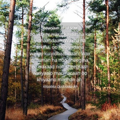 Picture 04 - Ishacyaah 30:10 SOM - oo waxay waxarkayaasha ku yidhaahdaan, Waxba ha - Bible Verse Picture