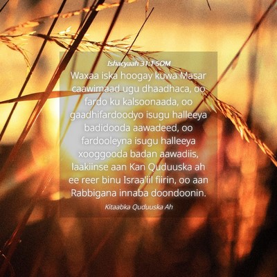 Picture 04 - Ishacyaah 31:1 SOM - Waxaa iska hoogay kuwa Masar caawimaad ugu - Bible Verse Picture