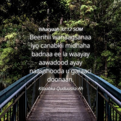 Picture 04 - Ishacyaah 32:12 SOM - Beerihii wanaagsanaa iyo canabkii midhaha badnaa - Bible Verse Picture