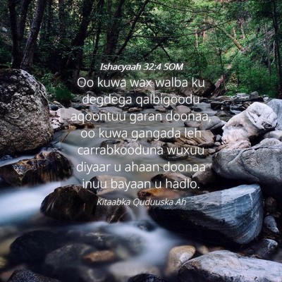 Picture 04 - Ishacyaah 32:4 SOM - Oo kuwa wax walba ku degdega qalbigoodu aqoontuu - Bible Verse Picture