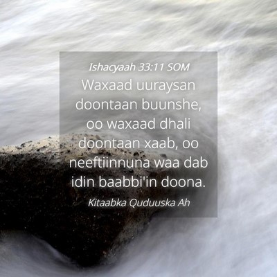 Picture 04 - Ishacyaah 33:11 SOM - Waxaad uuraysan doontaan buunshe, oo waxaad dhali - Bible Verse Picture