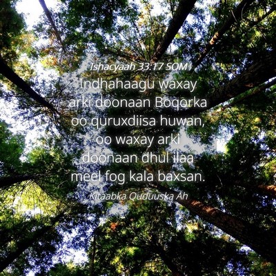 Picture 04 - Ishacyaah 33:17 SOM - Indhahaagu waxay arki doonaan Boqorka oo - Bible Verse Picture