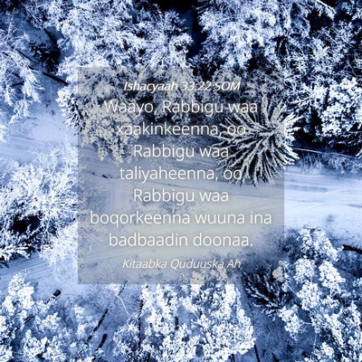 Picture 04 - Ishacyaah 33:22 SOM - Waayo, Rabbigu waa xaakinkeenna, oo Rabbigu waa - Bible Verse Picture