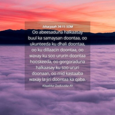 Picture 04 - Ishacyaah 34:15 SOM - Oo abeesaduna halkaasay buul ka samaysan doontaa, - Bible Verse Picture