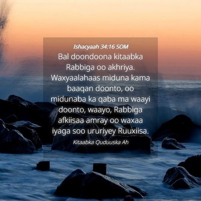 Picture 04 - Ishacyaah 34:16 SOM - Bal doondoona kitaabka Rabbiga oo akhriya. - Bible Verse Picture