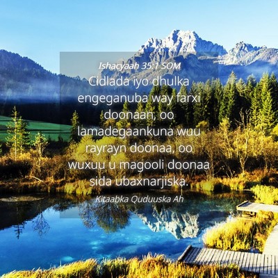 Picture 04 - Ishacyaah 35:1 SOM - Cidlada iyo dhulka engeganuba way farxi doonaan, - Bible Verse Picture