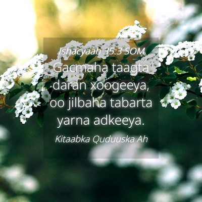 Picture 04 - Ishacyaah 35:3 SOM - Gacmaha taagta daran xoogeeya, oo jilbaha tabarta - Bible Verse Picture