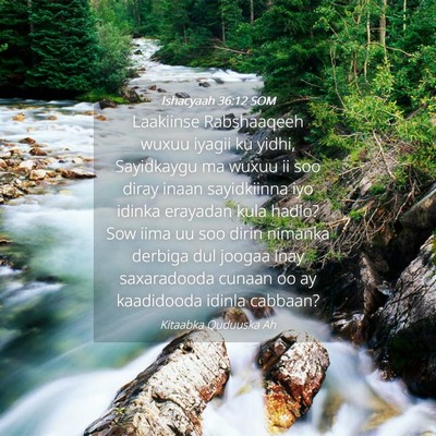 Picture 04 - Ishacyaah 36:12 SOM - Laakiinse Rabshaaqeeh wuxuu iyagii ku yidhi, - Bible Verse Picture