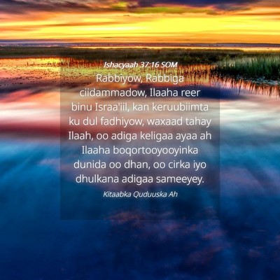 Picture 04 - Ishacyaah 37:16 SOM - Rabbiyow, Rabbiga ciidammadow, Ilaaha reer binu - Bible Verse Picture