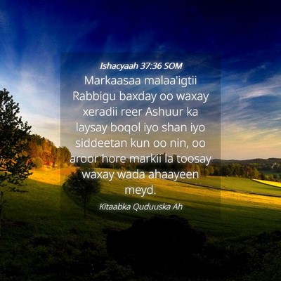 Picture 04 - Ishacyaah 37:36 SOM - Markaasaa malaa'igtii Rabbigu baxday oo waxay - Bible Verse Picture