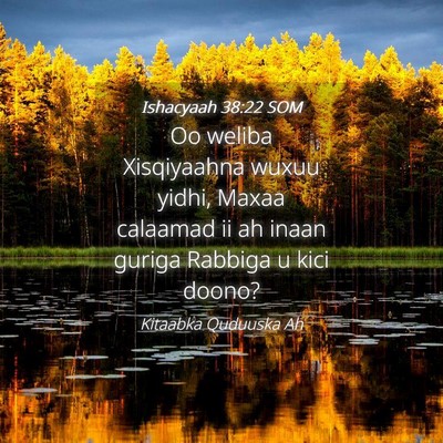 Picture 04 - Ishacyaah 38:22 SOM - Oo weliba Xisqiyaahna wuxuu yidhi, Maxaa calaamad - Bible Verse Picture