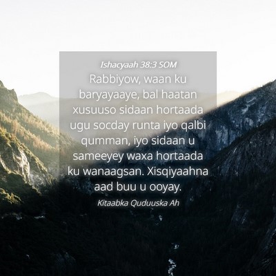 Picture 04 - Ishacyaah 38:3 SOM - Rabbiyow, waan ku baryayaaye, bal haatan xusuuso - Bible Verse Picture